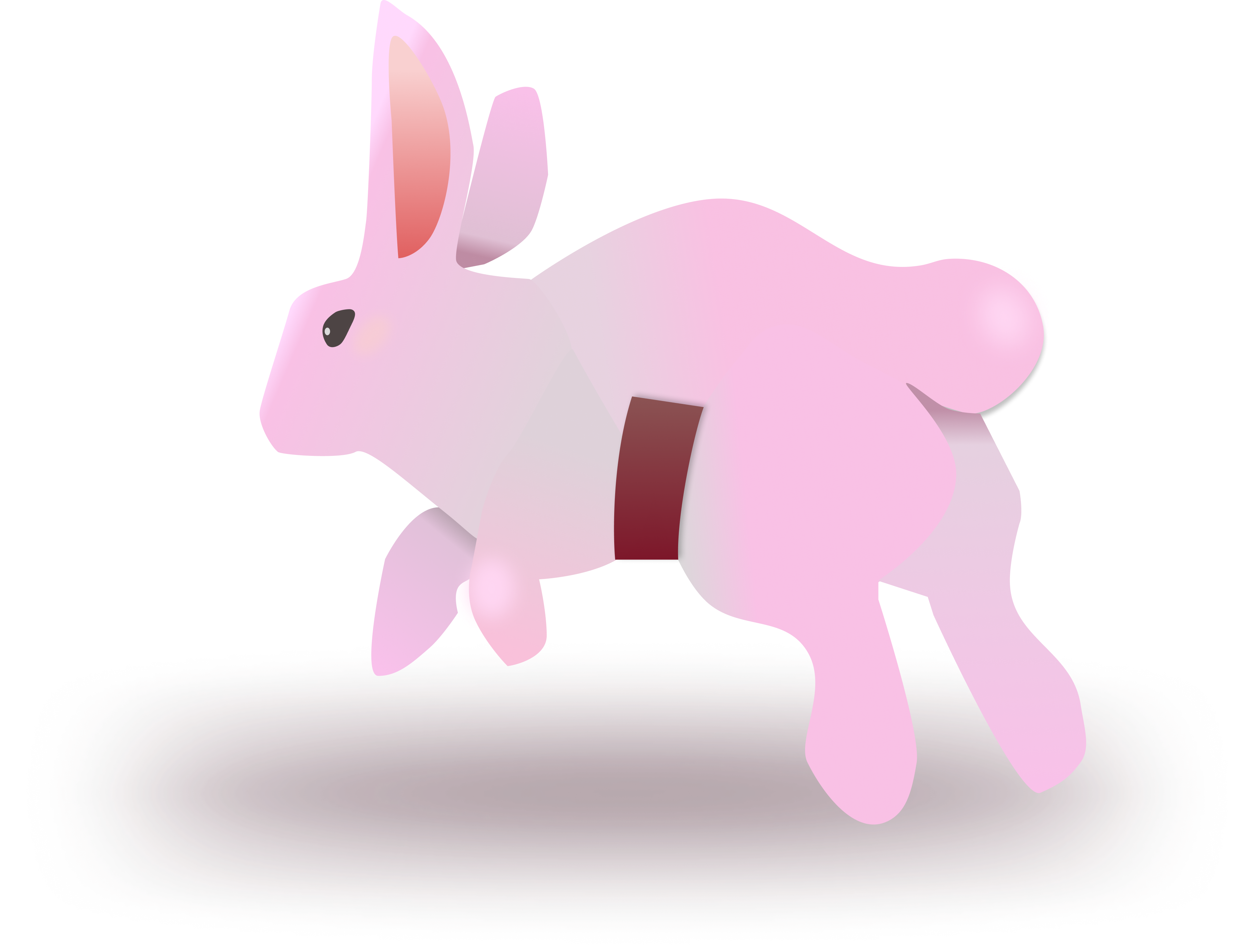 bunny